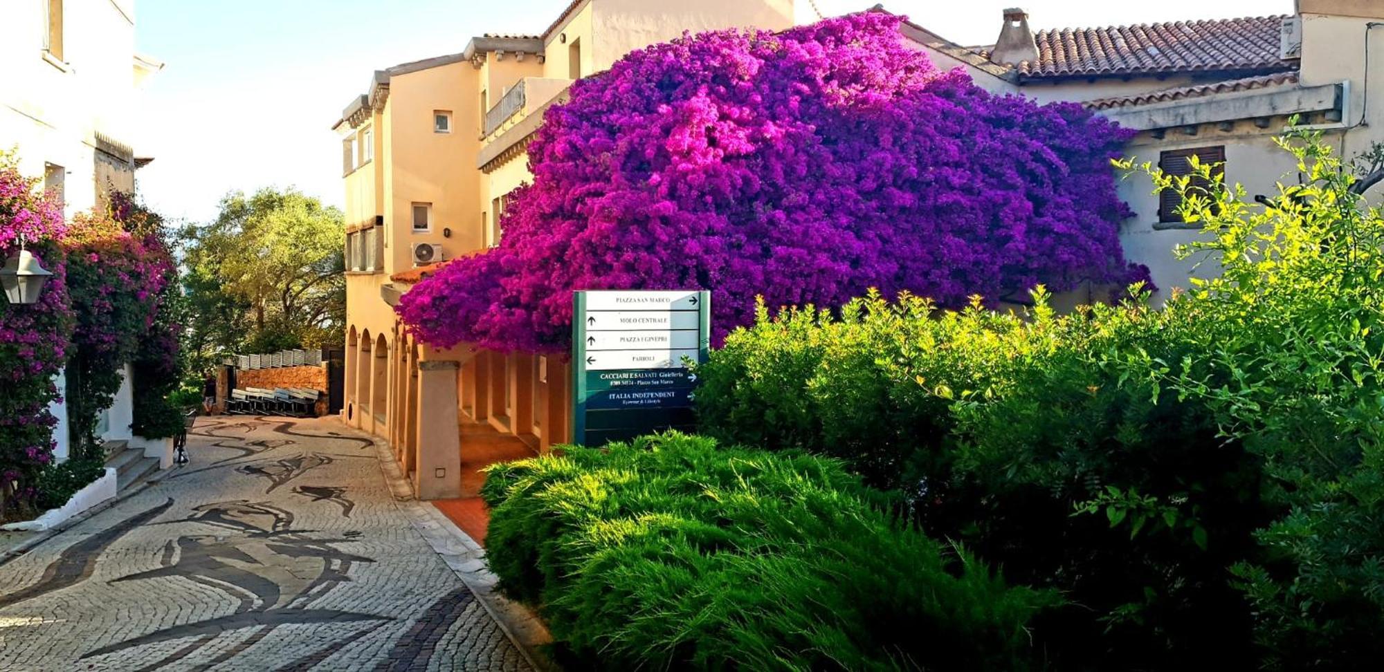 Residence Bouganville Porto Rotondo Eksteriør bilde